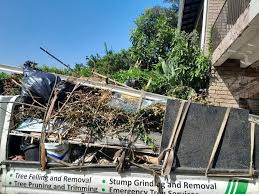 Demolition Debris Removal in Genoa, IL